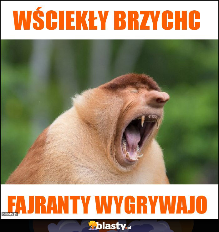 WŚCIEKŁY BRZYCHC