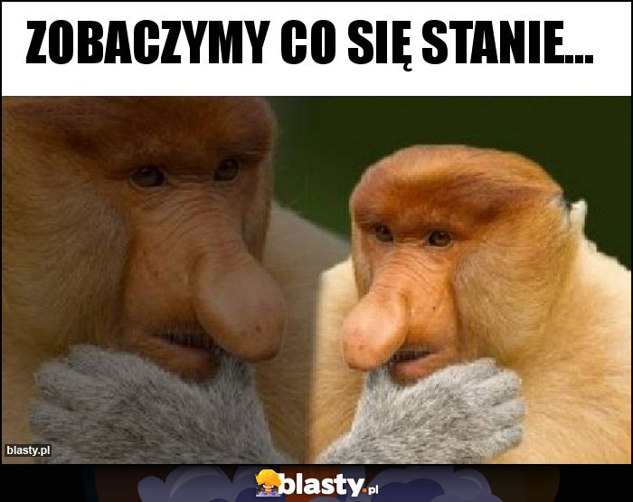 Zobaczymy co się stanie...