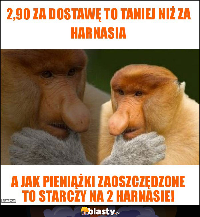 2,90 za dostawę to taniej niż za harnasia