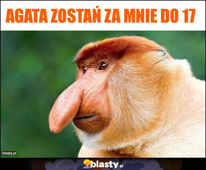 Agata zostań za mnie do 17