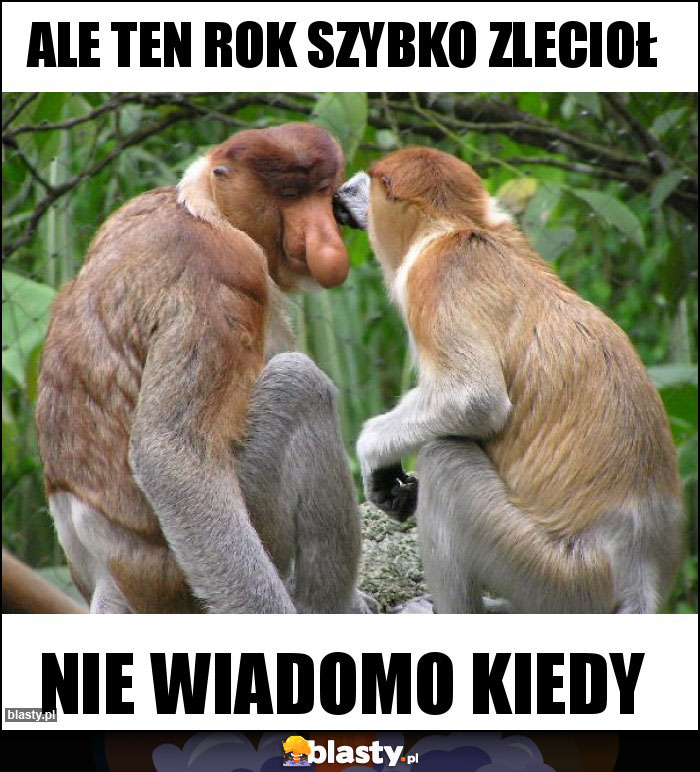 ALE TEN ROK SZYBKO ZLECIOŁ