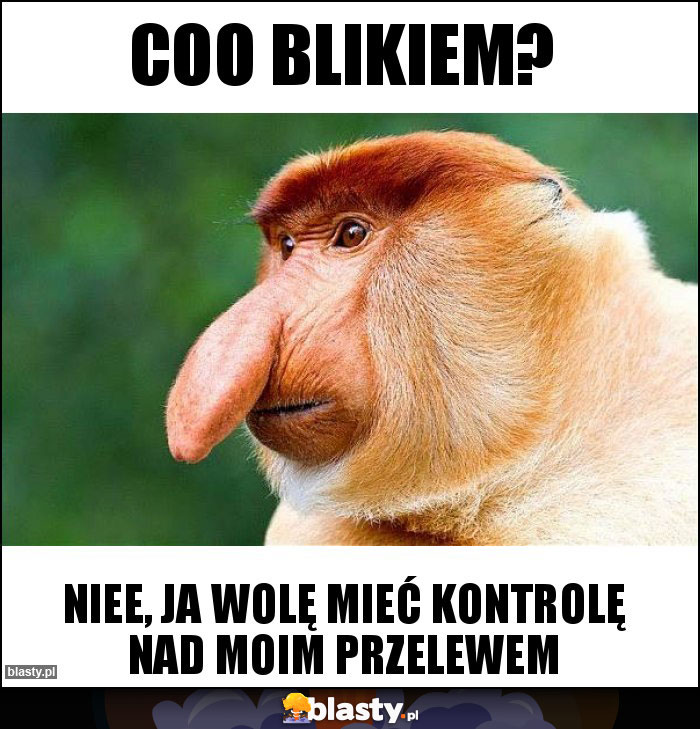 Coo BLIKiem?