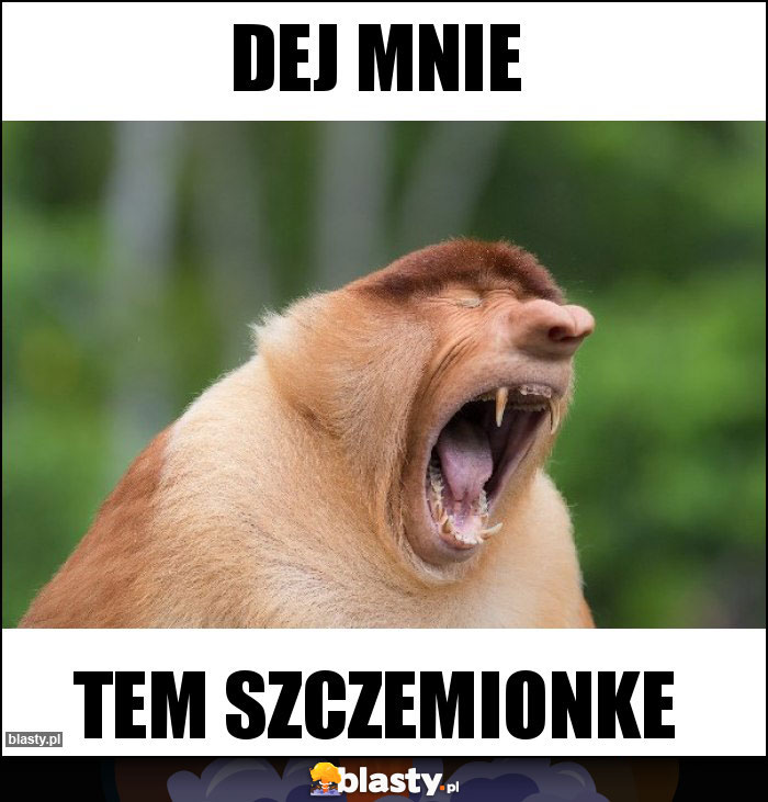 Dej mnie