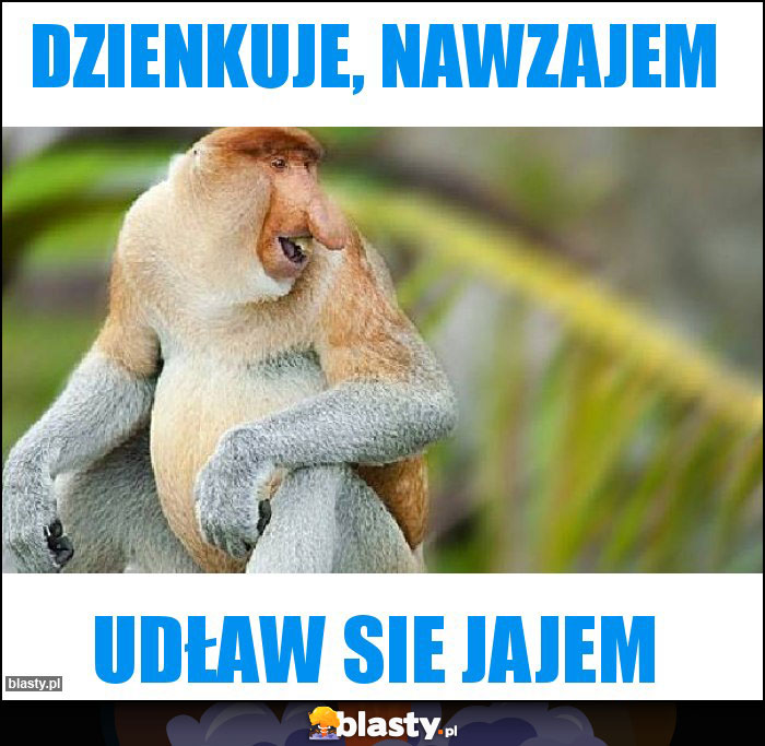 Dzienkuje, Nawzajem