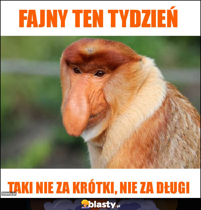 fajny ten tydzień