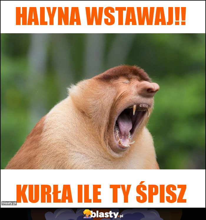 Halyna wstawaj!!