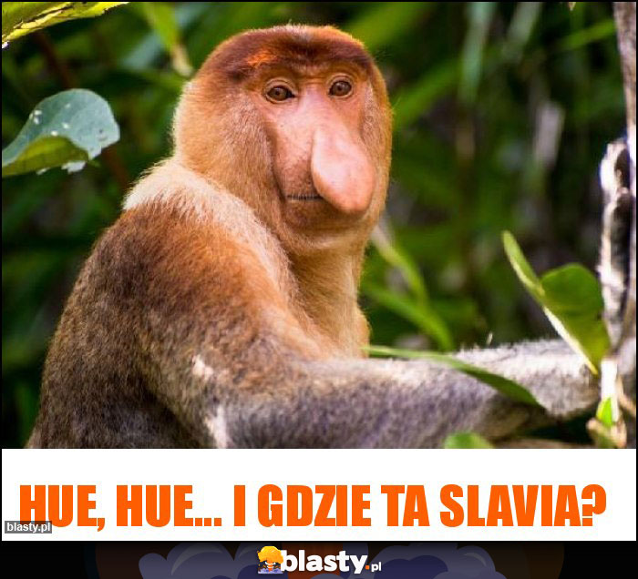 Hue, hue... I gdzie ta Slavia?