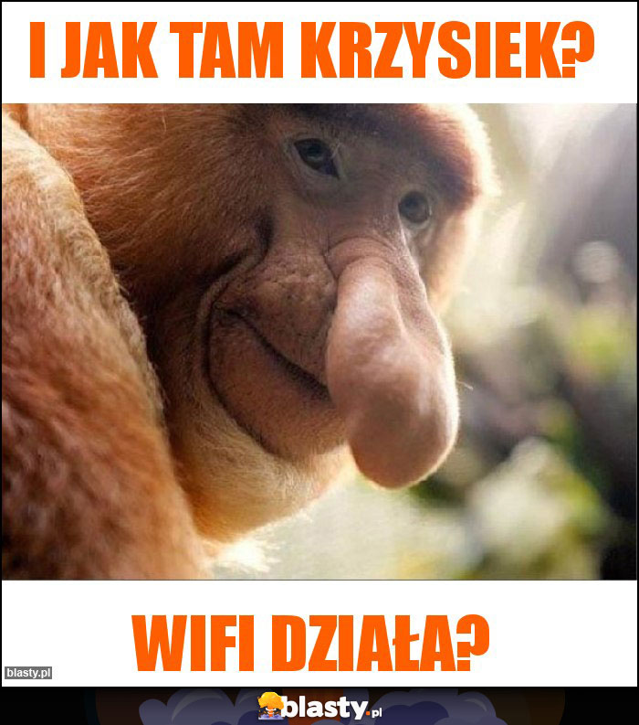 I jak tam Krzysiek?