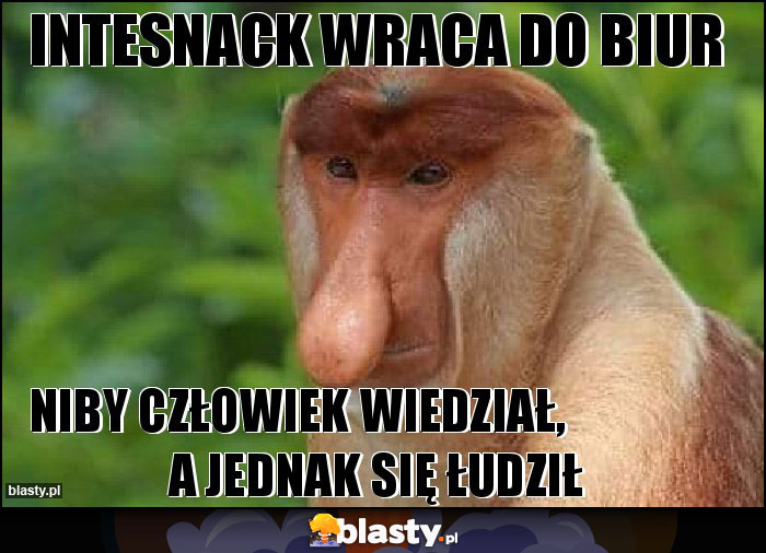 Intesnack wraca do biur