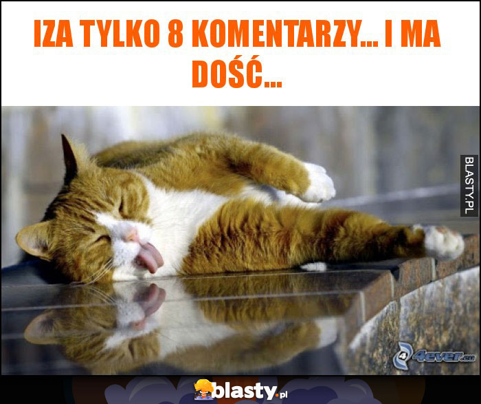 Iza tylko 8 komentarzy... i ma dość...