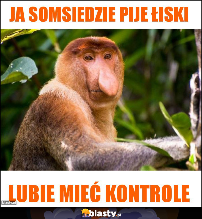 Ja somsiedzie pije łiski