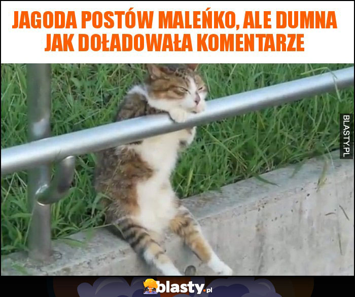 Jagoda postów maleńko, ale dumna jak doładowała komentarze