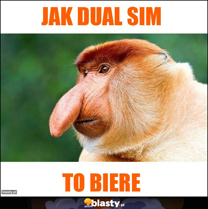 JAK DUAL SIM