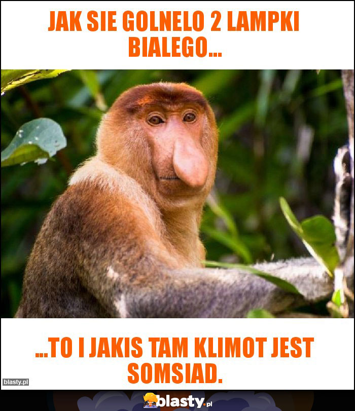 Jak sie golnelo 2 lampki bialego...