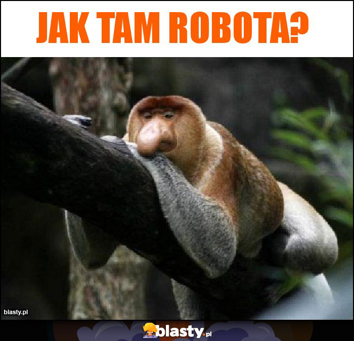 Jak tam robota?