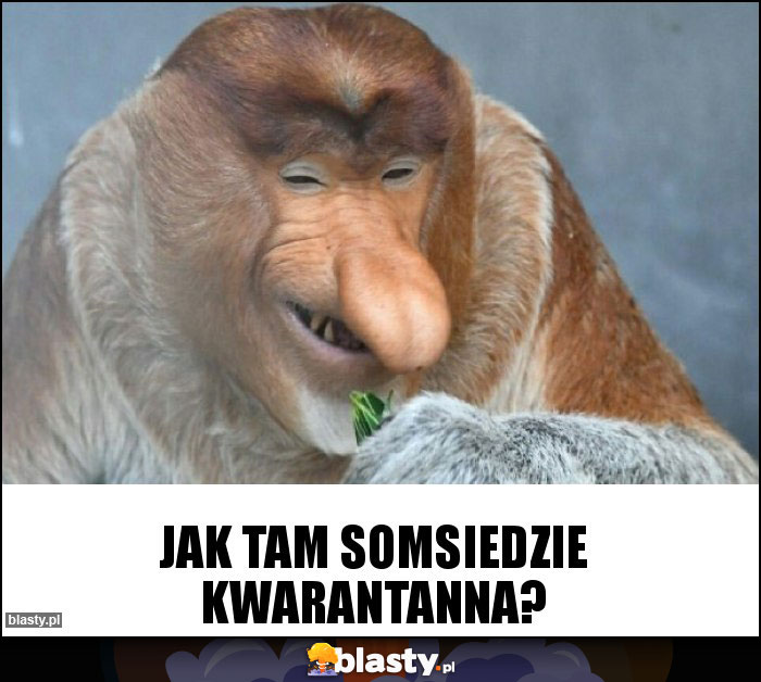 Jak tam somsiedzie kwarantanna?