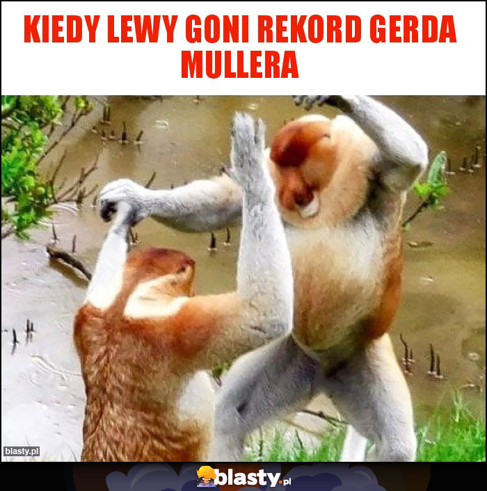 Kiedy Lewy goni rekord Gerda Mullera