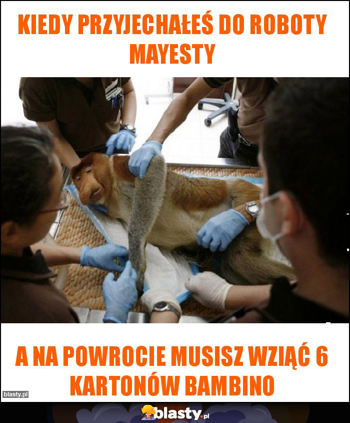 Kiedy przyjechałeś do roboty mayesty