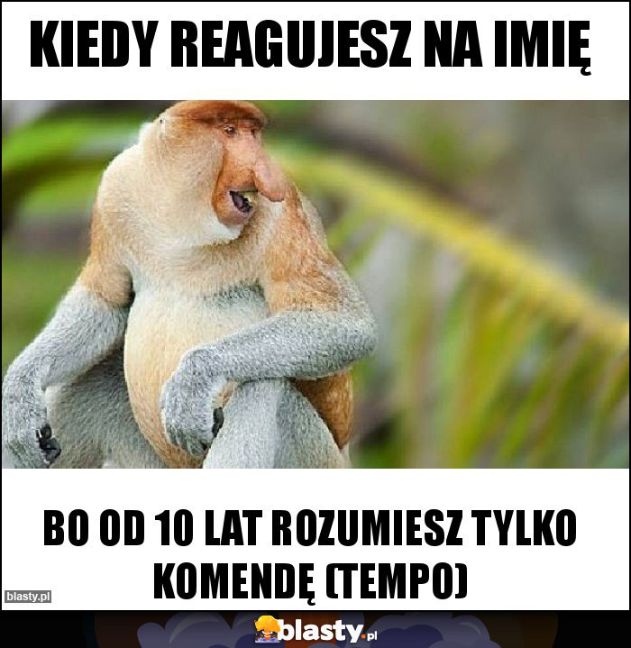 Kiedy reagujesz na imię