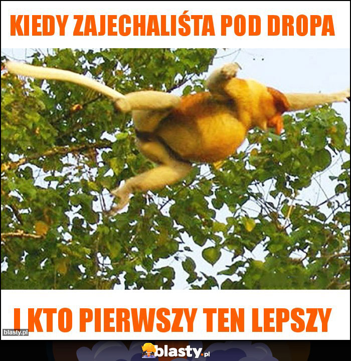 Kiedy zajechaliśta pod dropa