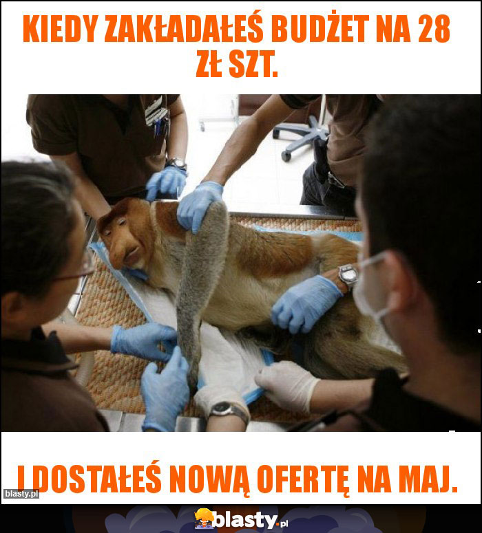 Kiedy zakładałeś budżet na 28 zł szt.