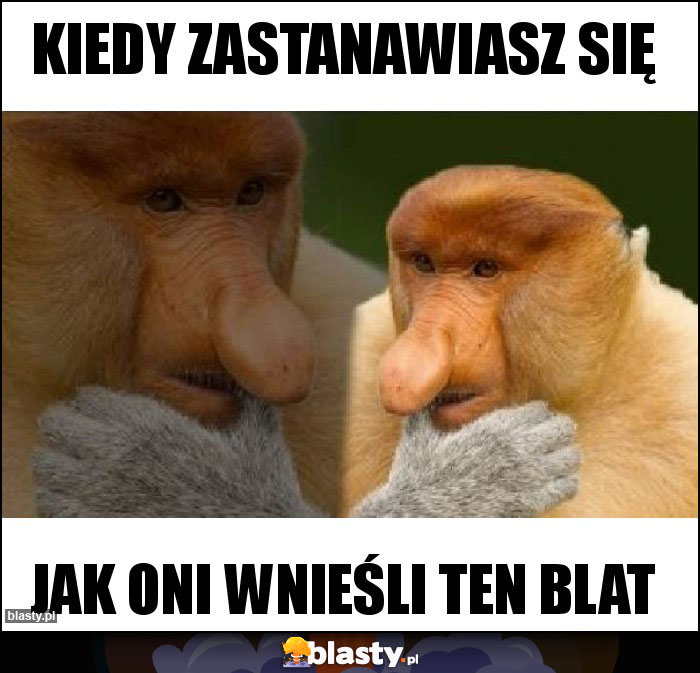 Kiedy zastanawiasz się