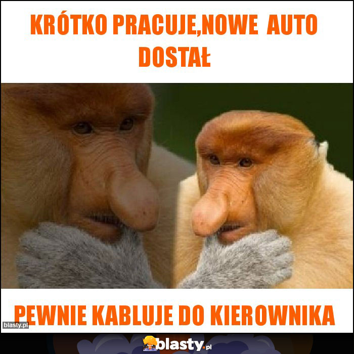 Krótko pracuje,nowe  auto dostał