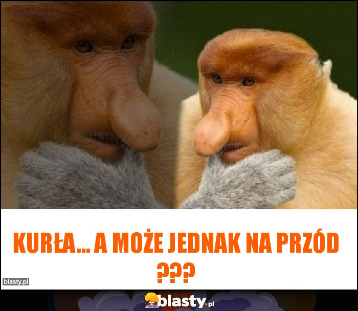 Kurła... a może jednak na przód ???