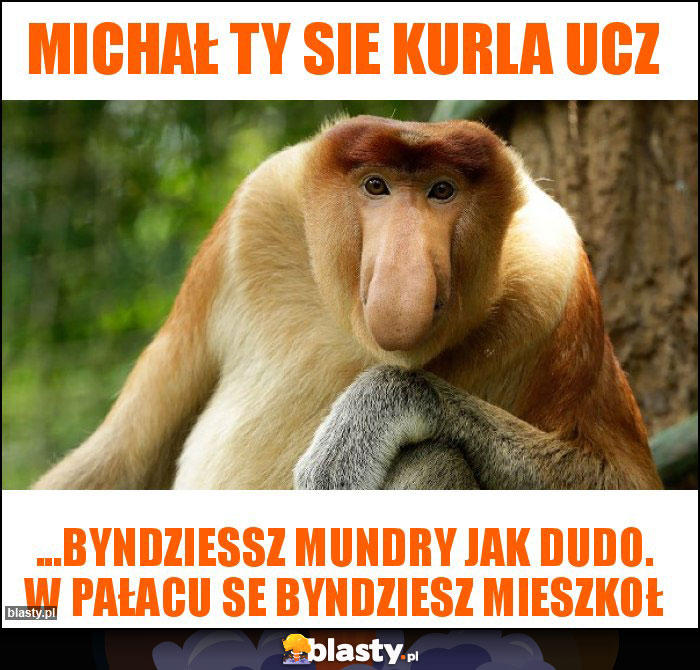 Michał Ty sie kurla ucz