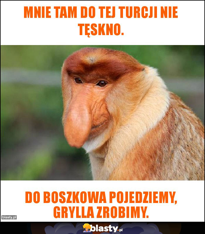 Mnie tam do tej Turcji nie tęskno.