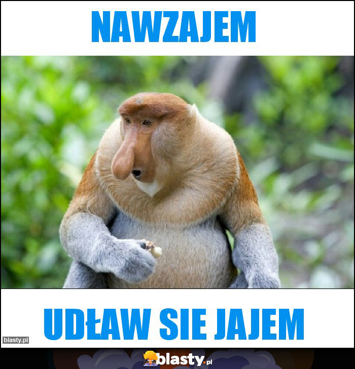 Nawzajem