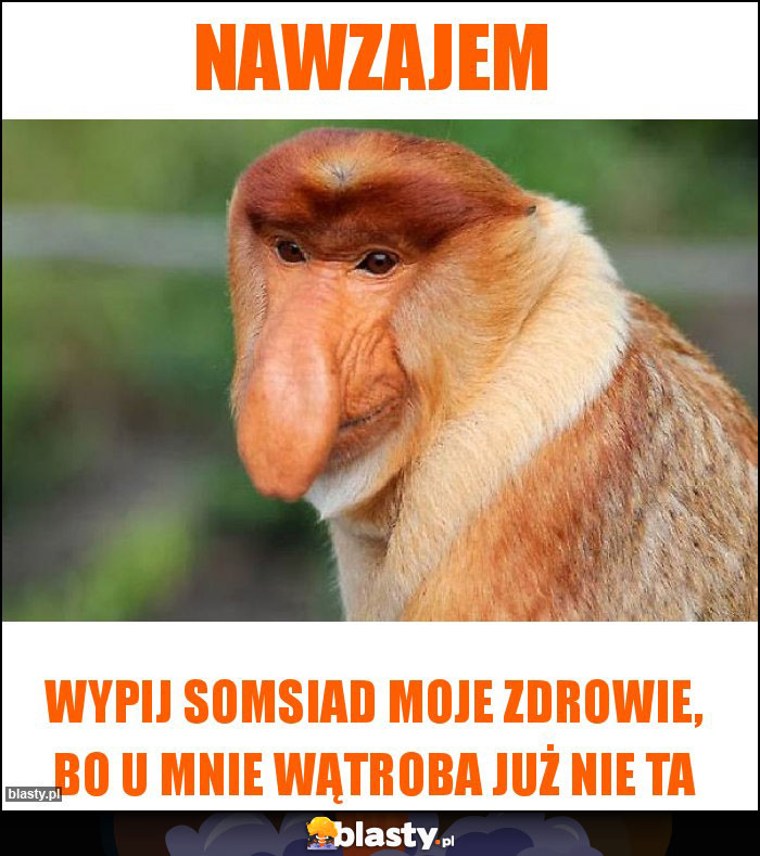 Nawzajem