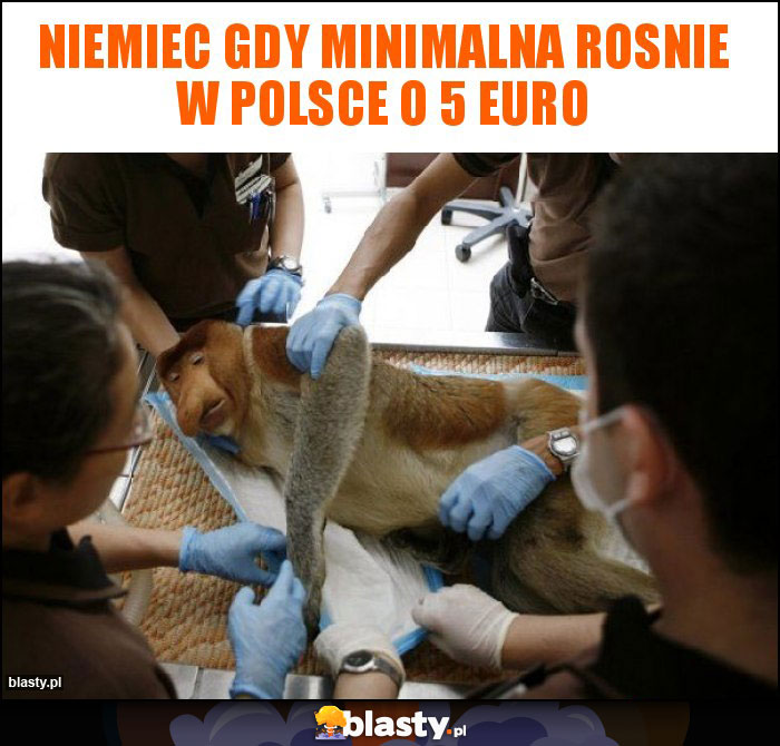 Niemiec gdy minimalna rosnie w Polsce o 5 Euro