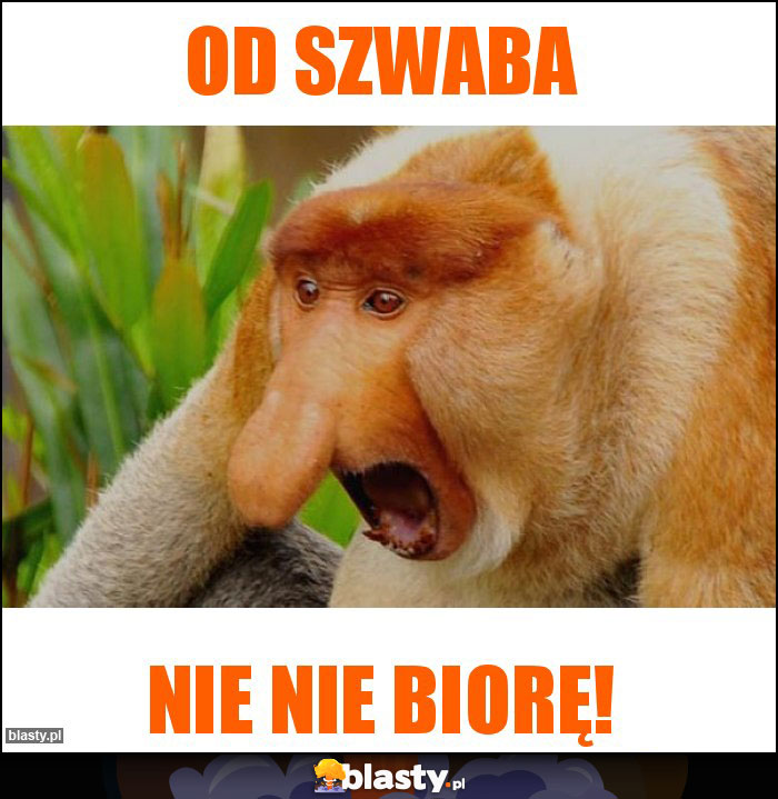 Od szwaba