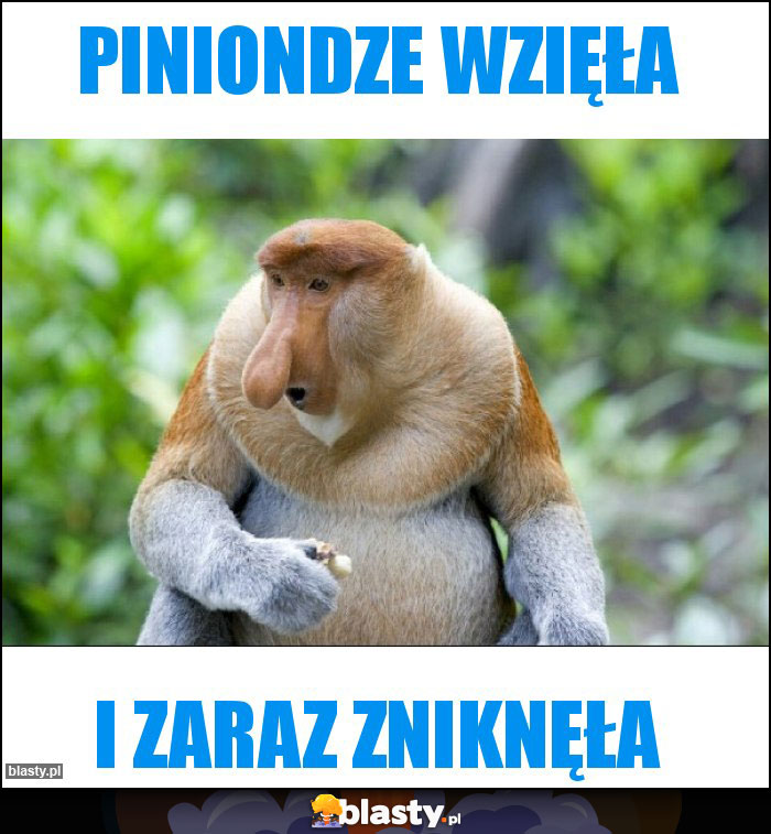 Piniondze wzięła