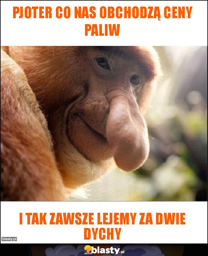 Pjoter co nas obchodzą ceny paliw