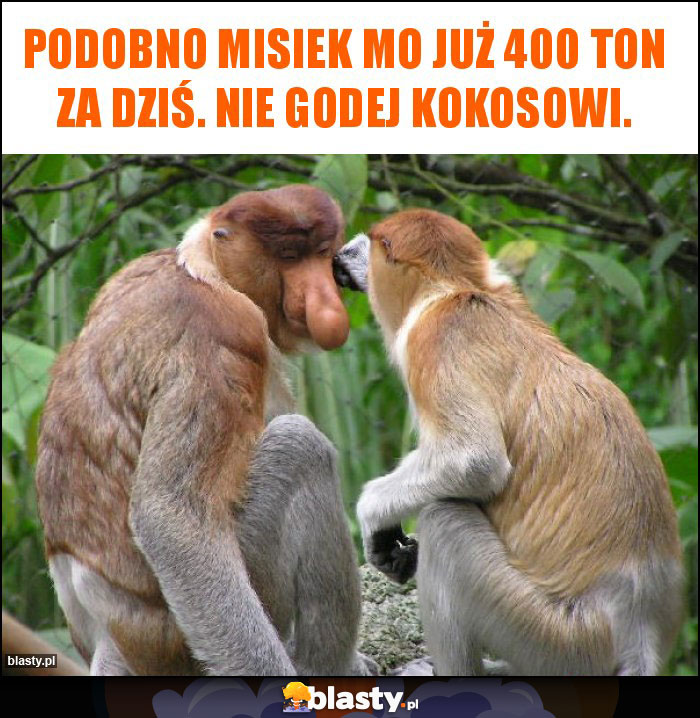 Podobno misiek Mo już 400 ton za dziś. Nie godej kokosowi.