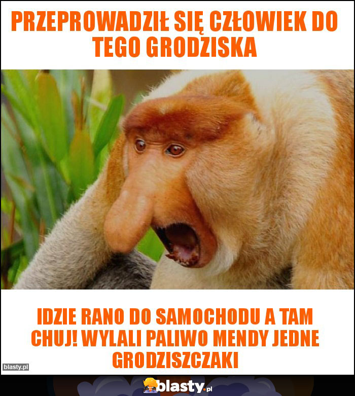 przeprowadził się człowiek do tego Grodziska