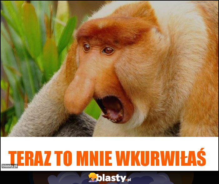 Teraz to mnie wkurwiłaś