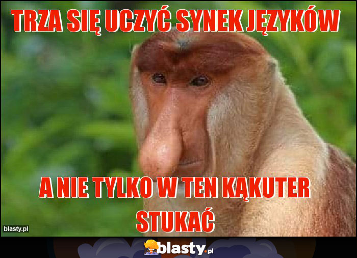 TRZA SIĘ UCZYĆ SYNEK JĘZYKÓW