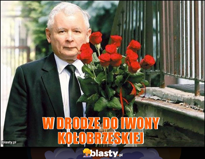 W drodze do Iwony Kołobrzeskiej