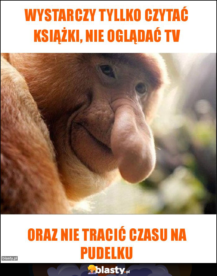 Wystarczy tyllko czytać książki, nie oglądać TV