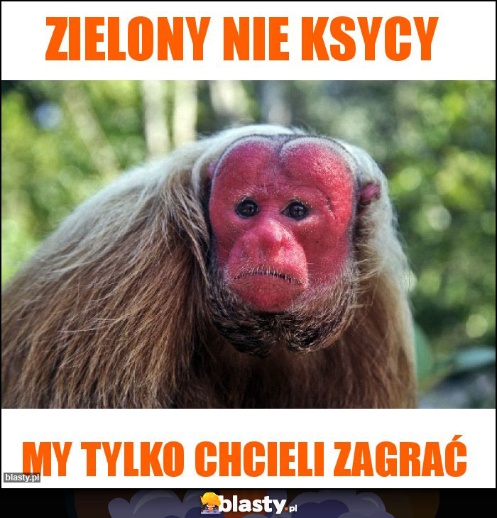 Zielony nie ksycy