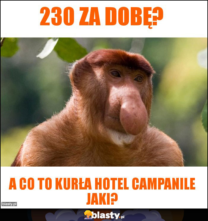 230 za dobę?