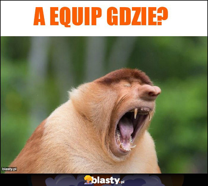 A EQUIP GDzie?