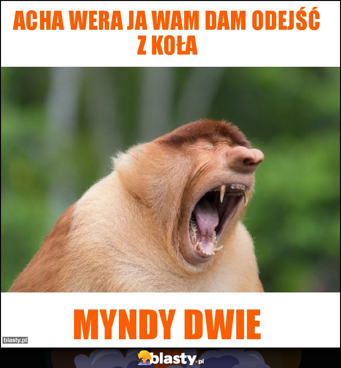 Acha Wera ja wam dam odejść z koła