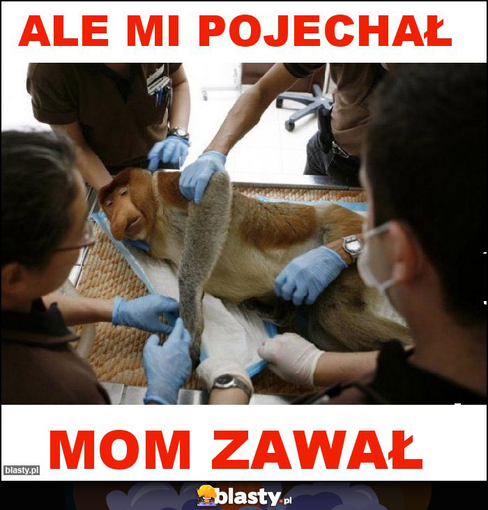 ALE MI POJECHAŁ