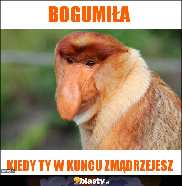 Bogumiła