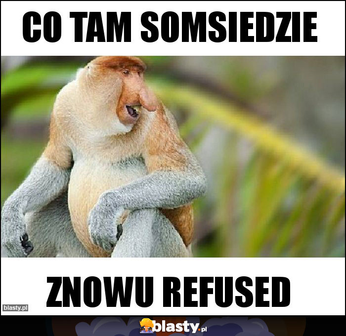 CO TAM SOMSIEDZIE