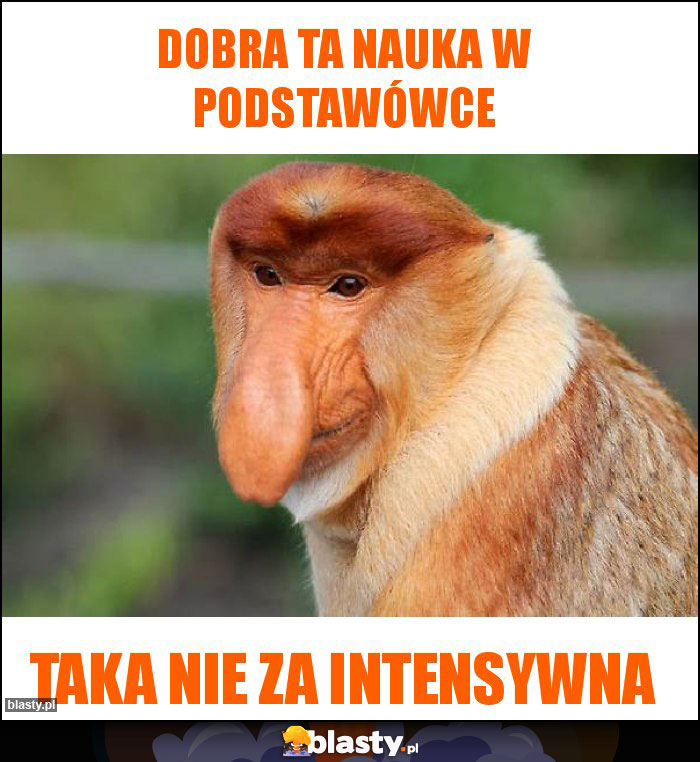 Dobra ta nauka w podstawówce